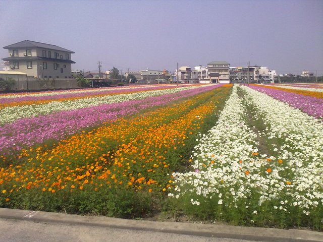 20101126074.jpg