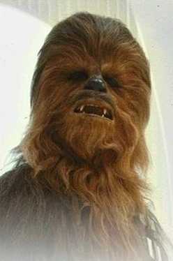 chewbacca.jpg (9213 bytes)