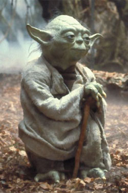 yoda.jpg (10580 bytes)