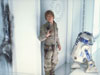 r208.JPG (88566 bytes)