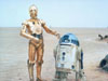 r218.JPG (108380 bytes)